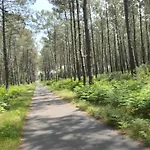 La Rose Des Vents , T3 A / Vieux Boucau