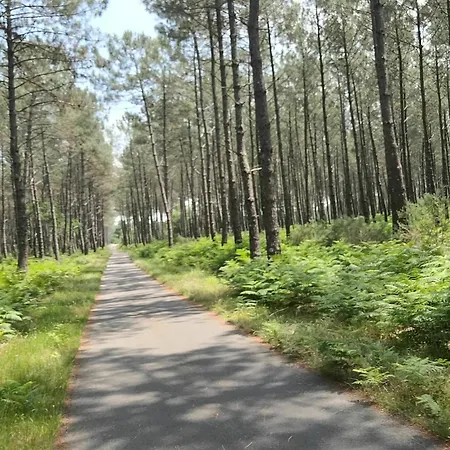 La Rose Des Vents , T3 A / Vieux Boucau