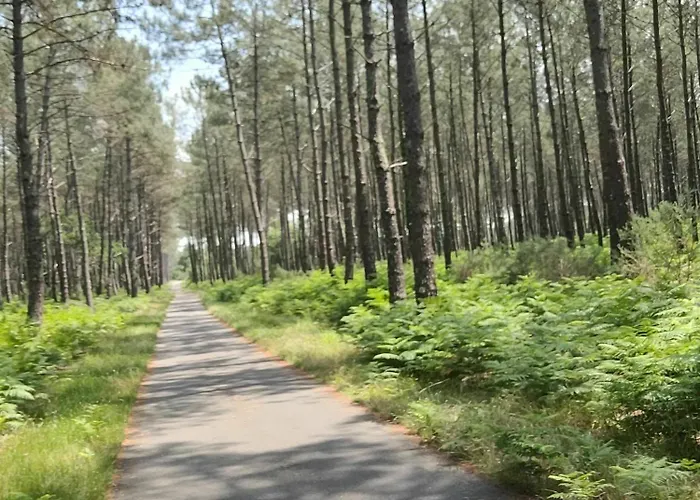 La Rose Des Vents , T3 A / Vieux Boucau